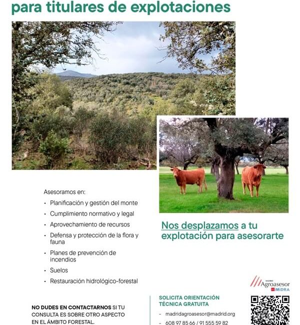 El IMIDRA ofrece asesoramiento forestal y formación gratuita para optimizar las explotaciones locales. Moralzarzal