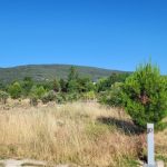 Pradera Zárate en Moralzarzal. Zona verde