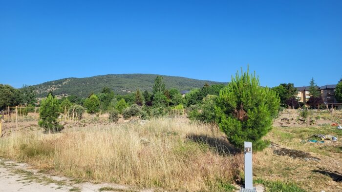 Pradera Zárate en Moralzarzal. Zona verde