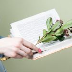 Talleres de Creación Literaria