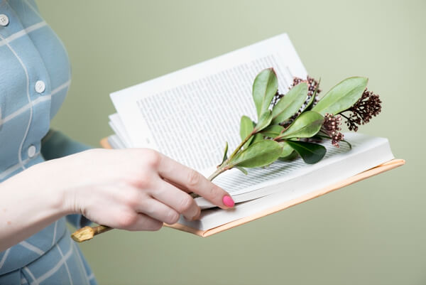 Talleres de Creación Literaria