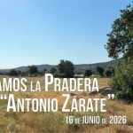 Vídeo, Beatriz matesanz, Pradera Antonio Zárate en Moralzarzal