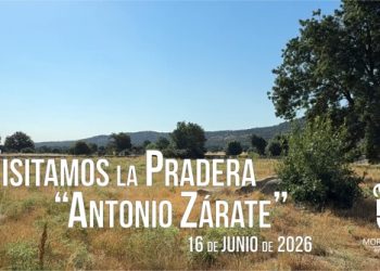 Vídeo, Beatriz matesanz, Pradera Antonio Zárate en Moralzarzal
