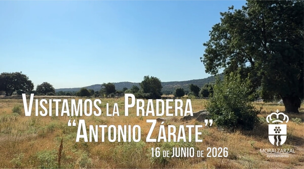 Vídeo, Beatriz matesanz, Pradera Antonio Zárate en Moralzarzal