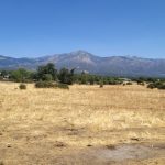 Convenio con el IMIDRA para la reforestación con 250 fresnos la Dehesa Vieja de Moralzarzal