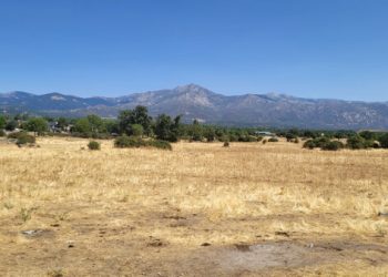 Convenio con el IMIDRA para la reforestación con 250 fresnos la Dehesa Vieja de Moralzarzal