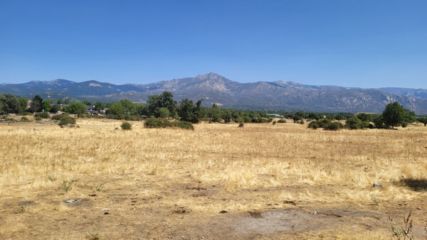 Convenio con el IMIDRA para la reforestación con 250 fresnos la Dehesa Vieja de Moralzarzal