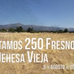 VÍDEO. Moralzarzal reforestará la Dehesa Vieja con 250 fresnos de alto valor ecológico