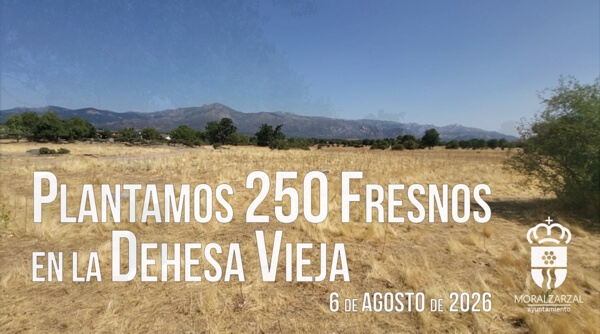 VÍDEO. Moralzarzal reforestará la Dehesa Vieja con 250 fresnos de alto valor ecológico