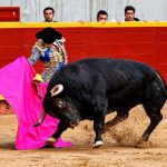 Mejor faena, Daniel Moset. Feria Taurina de Moralzarzal 2026