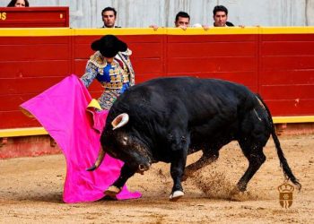 Mejor faena, Daniel Moset. Feria Taurina de Moralzarzal 2026
