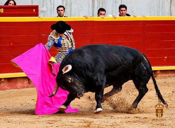 Mejor faena, Daniel Moset. Feria Taurina de Moralzarzal 2026