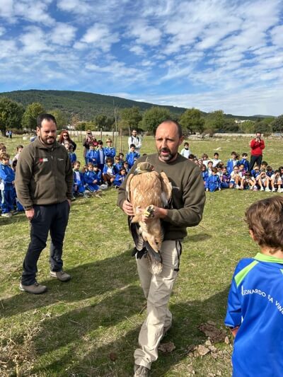 Más de 400 escolares de Moralzarzal viven una emocionante jornada de educación ambiental en la Dehesa, con la suelta de aves por parte del CRAS. Águila