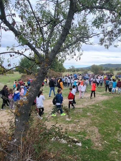 Más de 400 escolares de Moralzarzal viven una emocionante jornada de educación ambiental en la Dehesa, con la suelta de aves por parte del CRAS. dehesa